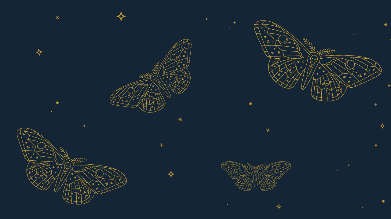 All These Wonders Moths